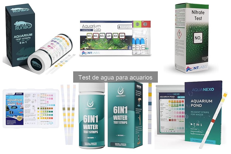 ¿Qué son los tests de agua para acuarios? Guía completa