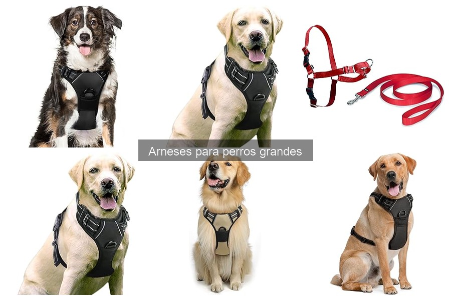¿Qué tamaño de arnés necesito para mi perro grande?