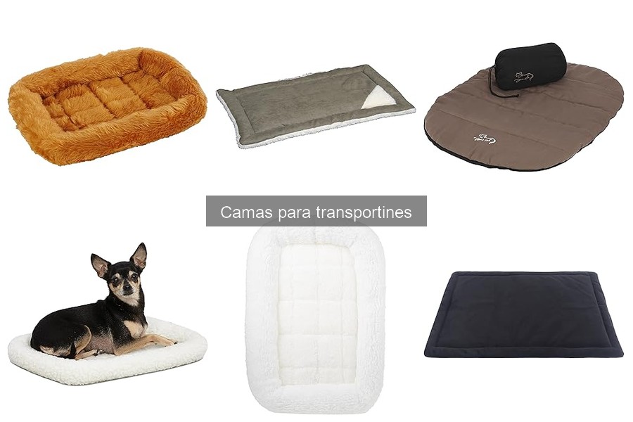 ¿Qué tamaño de cama para transportín necesito para mi mascota?