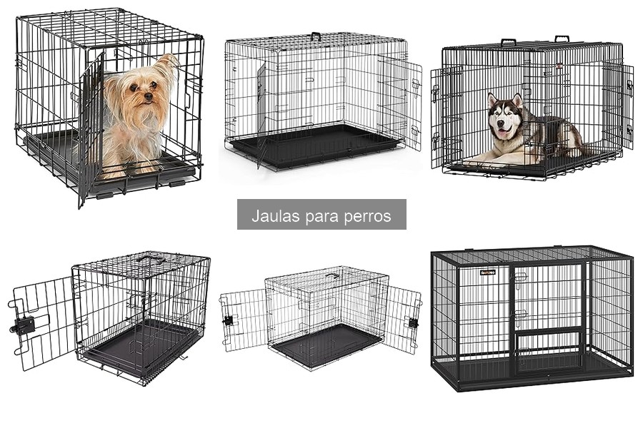 ¿Qué tamaño de jaula necesita mi perro? Guía fácil