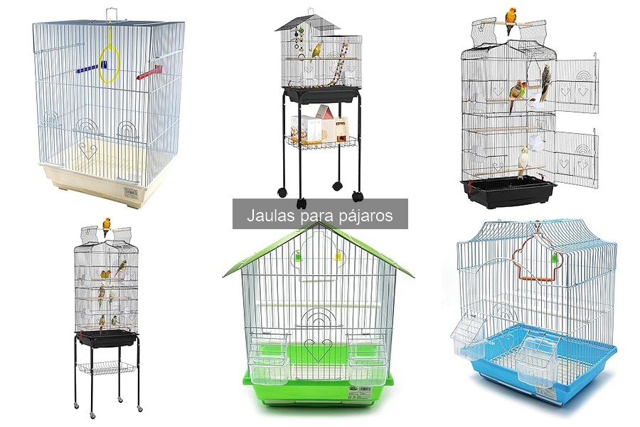 ¿Qué tamaño de jaula necesito para mi pájaro?