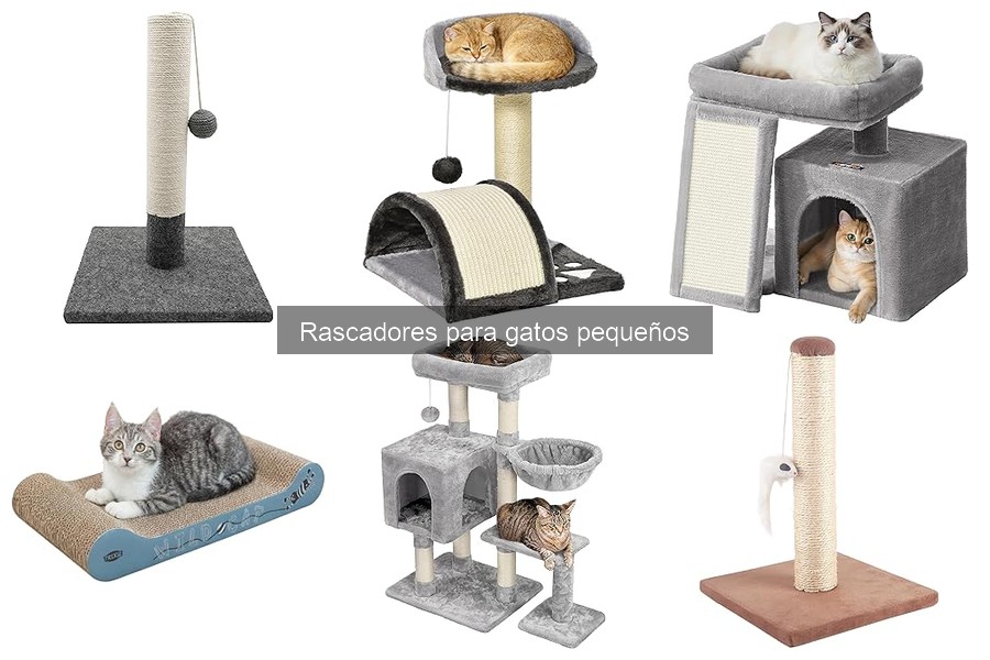 Rascadores de cartón vs. sisal para gatos pequeños: ¿Cuál elegir?