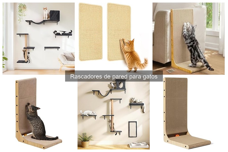 Rascadores de pared seguros para gatos: ¿qué considerar?