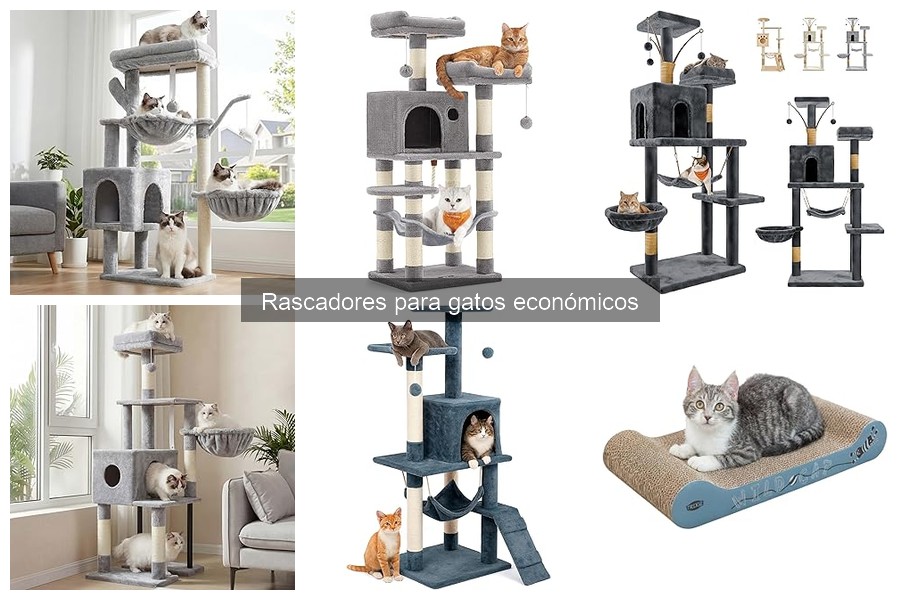 Rascadores económicos y su influencia en el comportamiento felino