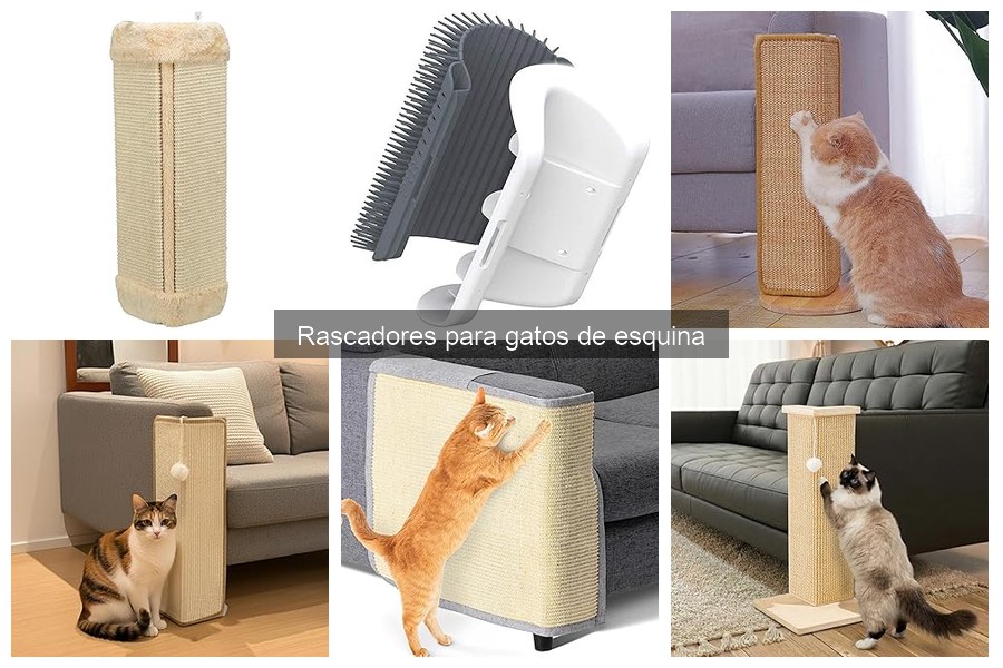 Rascadores para Gatos de Esquina: ¿Qué son y sus beneficios?