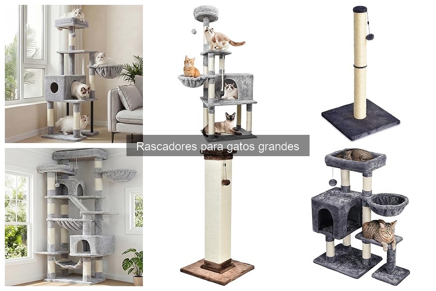 Rascadores para gatos grandes: ¿Cuánto cuestan?