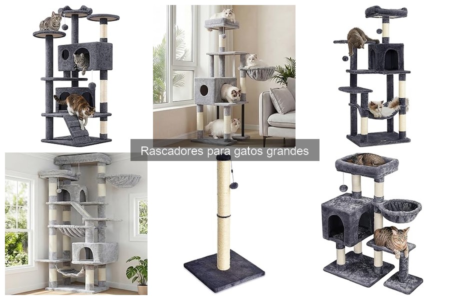 Rascadores para gatos grandes que ahorran espacio