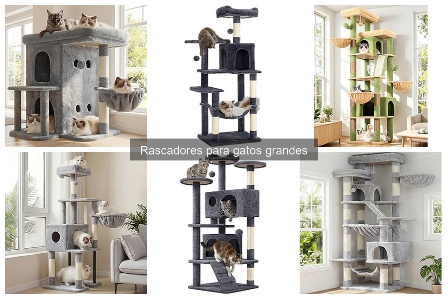Rascadores para Gatos Grandes: ¿Qué son y sus características?