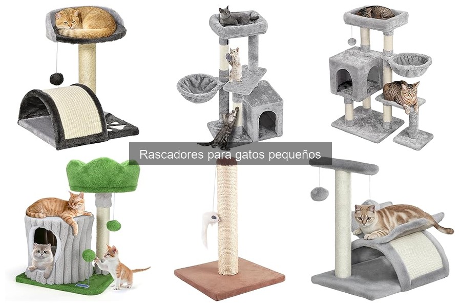 Rascadores para gatos pequeños: ¿Qué son y por qué son esenciales?