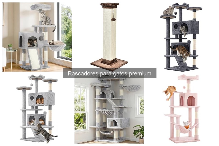 Rascadores para gatos premium recomendados por veterinarios