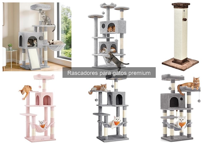 Rascadores verticales vs horizontales: ¿cuál elegir para tu gato?