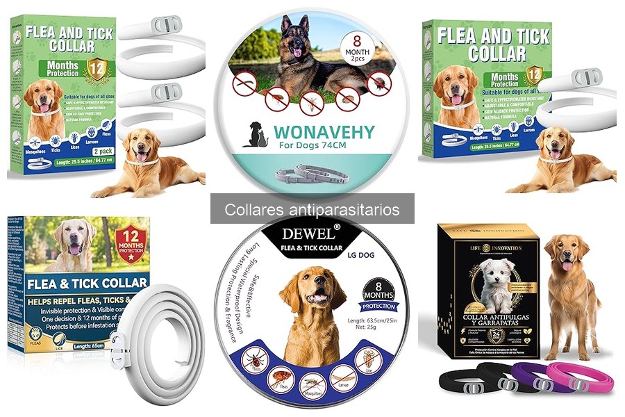 Reacciones al collar antiparasitario en mascotas: soluciones