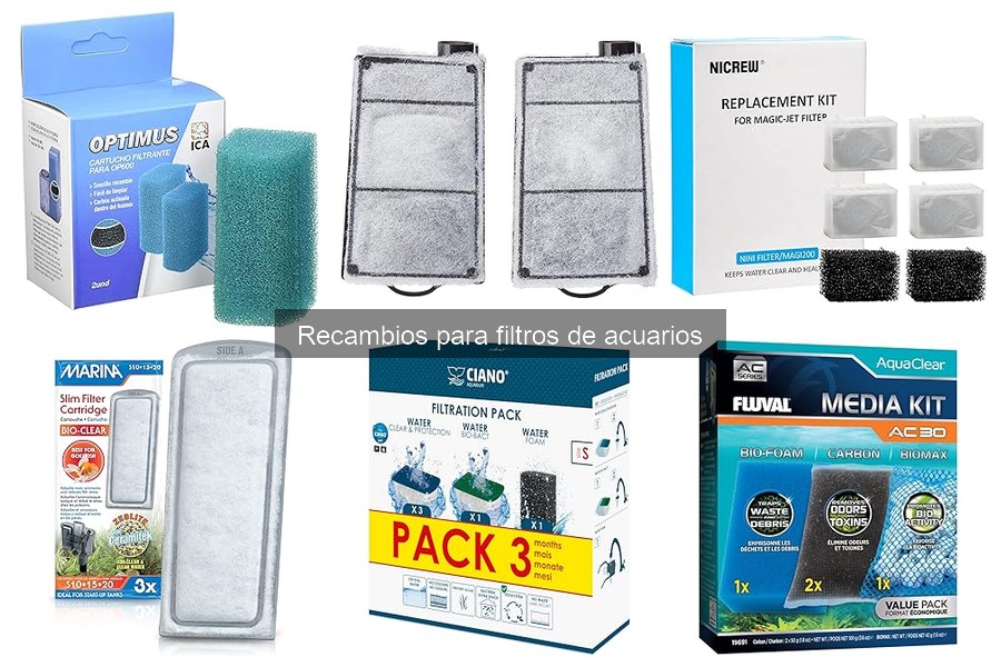 Recambios para Filtros de Acuarios: Guía para Principiantes