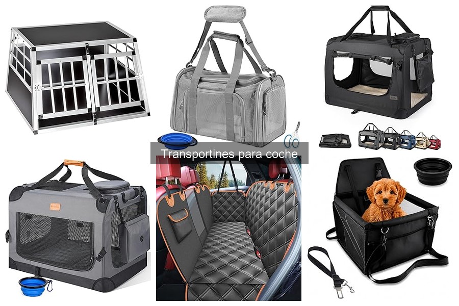 Requisitos legales para transportar mascotas en coche