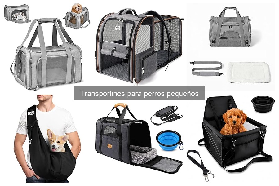 Requisitos legales para viajar con perros en transportines