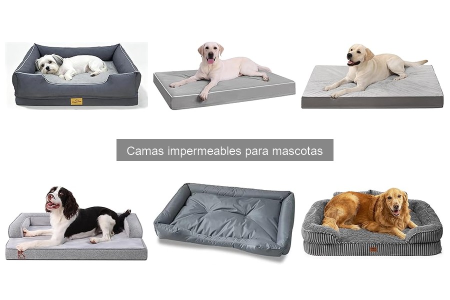 Reseñas de camas impermeables para mascotas: las mejores opciones