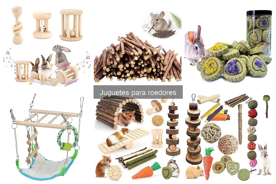 Reseñas de los Mejores Juguetes para Roedores en 2023