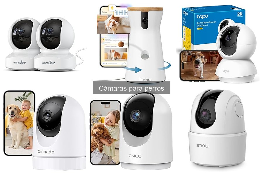 Resolviendo Problemas Comunes de Cámaras para Perros