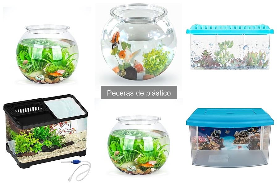 Seguridad de peceras de plástico para peces: ¿es viable?