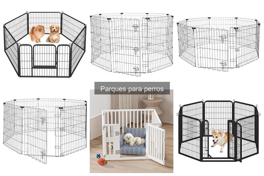 Seguridad en Parques para Perros: Consejos Clave para Dueños