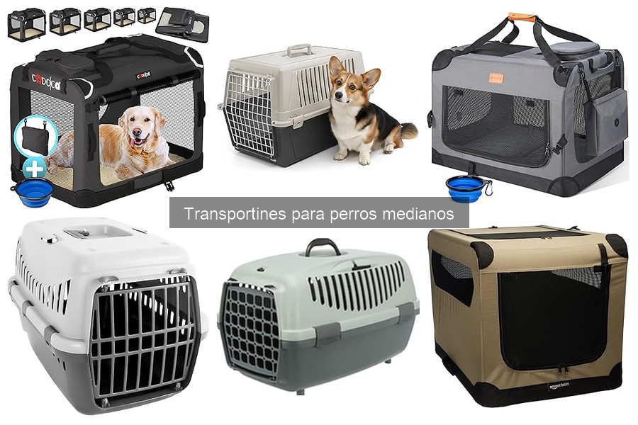 Seguridad en Transportines para Perros Medianos: Guía Esencial