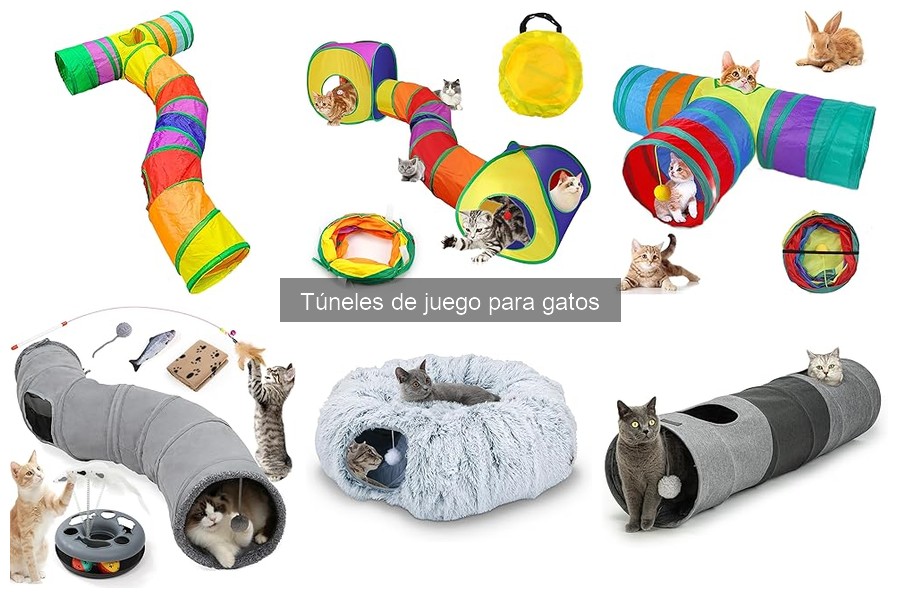 Seguridad en túneles de juego para gatos: ¿Son seguros?