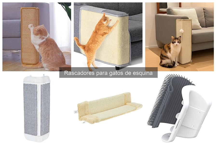 Soluciona Problemas Comunes con Rascadores de Esquina