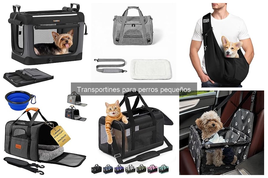 Soluciona Problemas Comunes con Transportines para Perros Pequeños