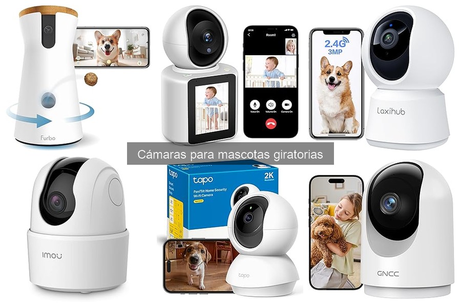 Soluciones a Problemas Comunes con Cámaras Giratorias para Mascotas