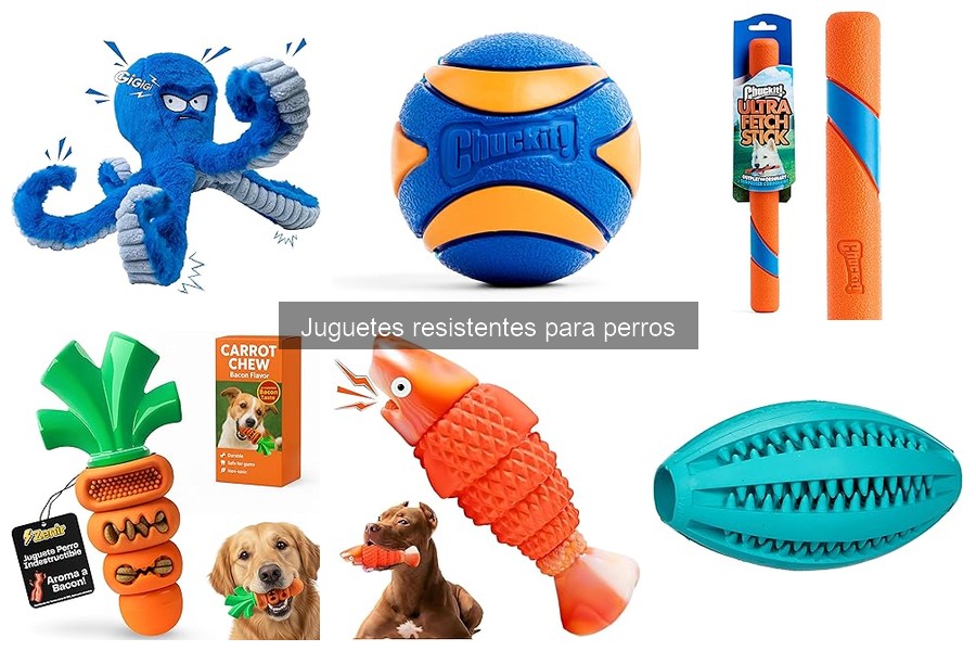 ¿Son Eficaces los Juguetes Resistentes para Perros?