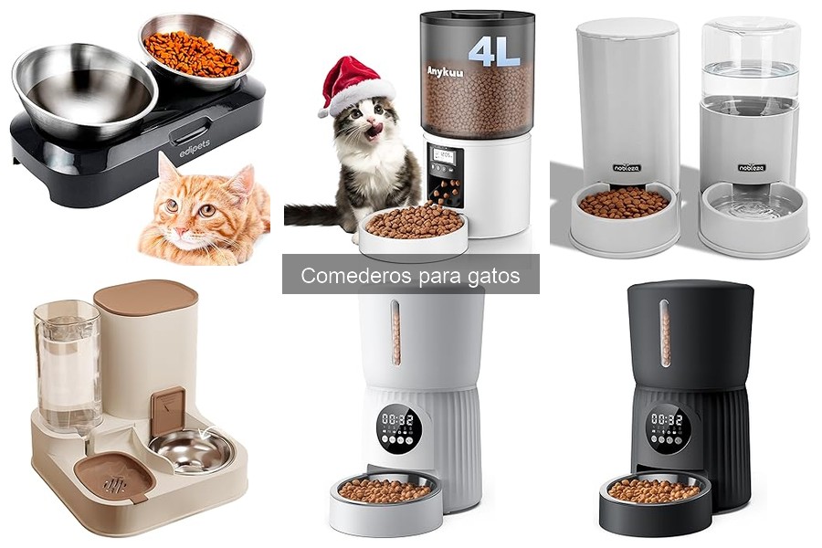 ¿Son los comederos elevados mejores para gatos?