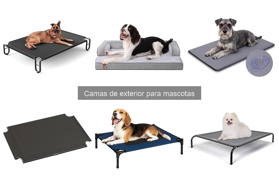 ¿Son necesarias las camas de exterior para mascotas?