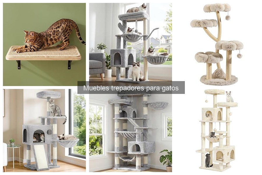 ¿Son necesarios los muebles trepadores para gatos?