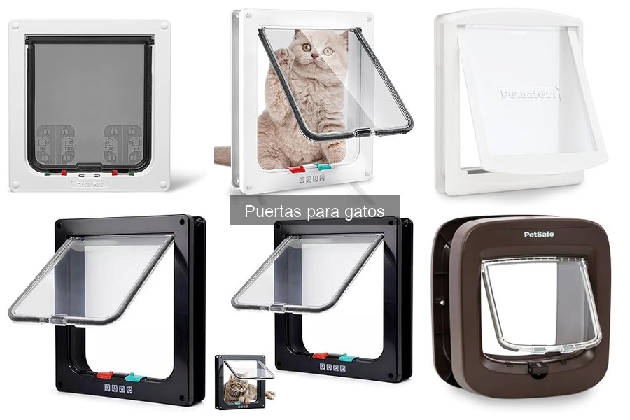 ¿Son seguras las puertas para gatos? Riesgos y recomendaciones