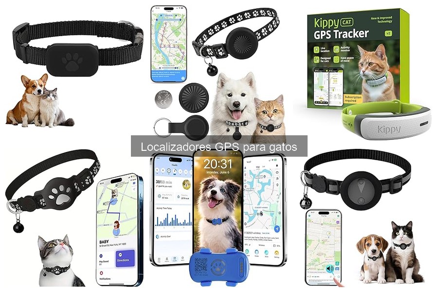 ¿Son seguros los localizadores GPS para gatos? Descúbrelo aquí