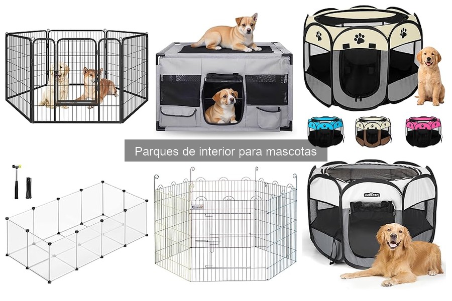 ¿Son seguros los parques de interior para mascotas?