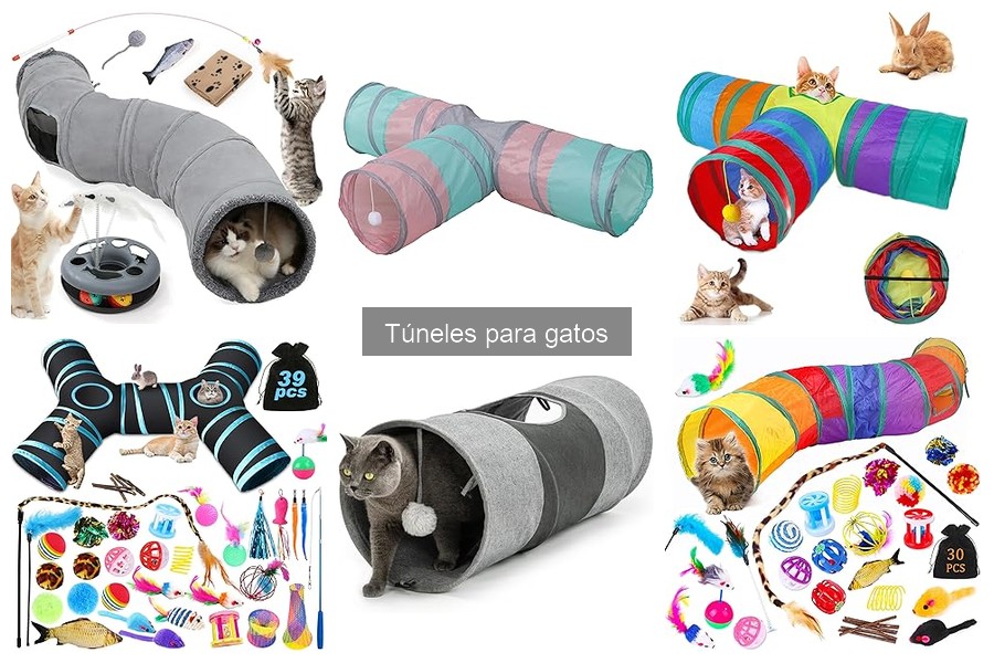 ¿Son seguros los túneles para gatos? Análisis y recomendaciones