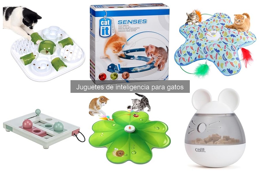 Tamaños y materiales ideales para juguetes de inteligencia de gatos