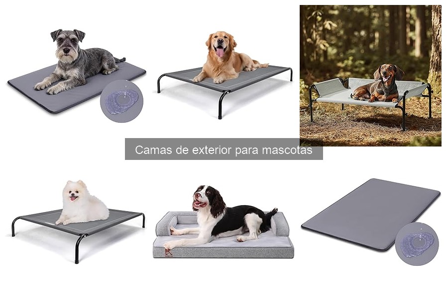 Testimonios Reales sobre Camas de Exterior para Mascotas
