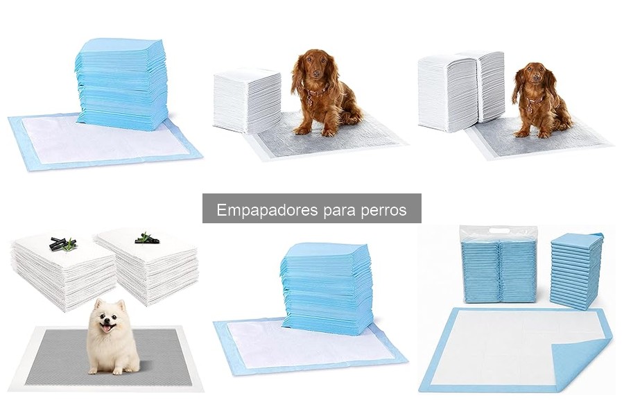 Testimonios sobre el uso de empapadores para perros