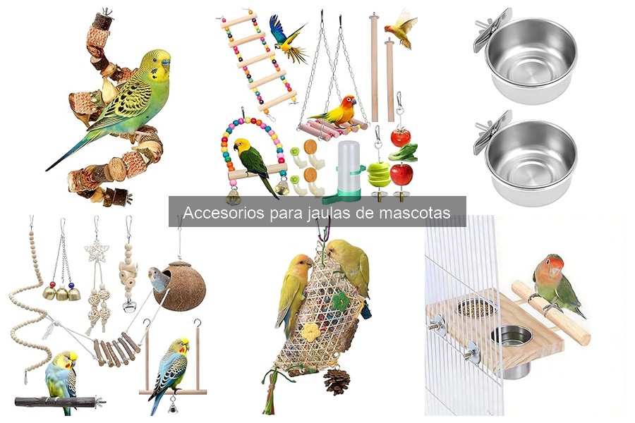 Tipos de accesorios para jaulas de mascotas: Guía completa