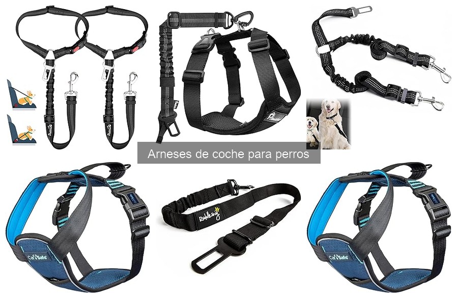 Tipos de arneses de coche para perros: guía completa