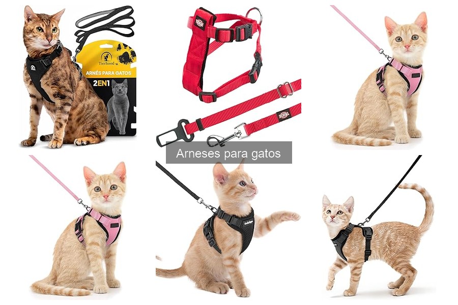 Tipos de arneses para gatos: guía y recomendaciones
