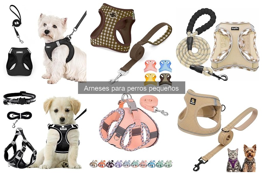 Tipos de arneses para perros pequeños: guía completa