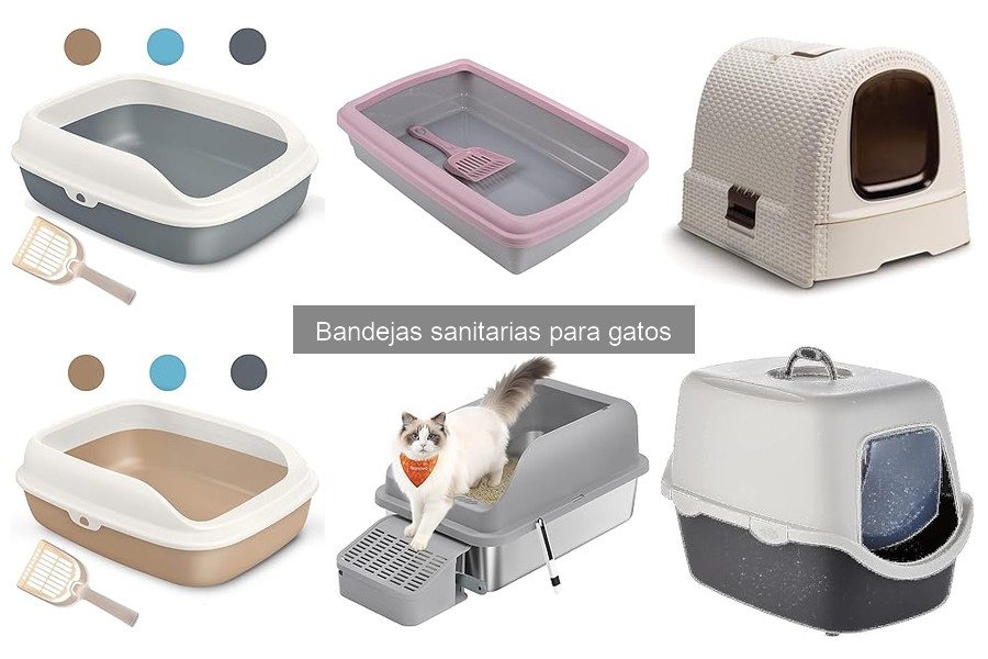 Tipos de bandejas sanitarias para gatos: características y beneficios