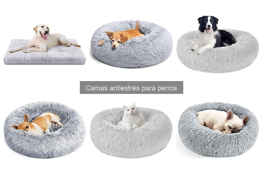 Tipos de camas antiestrés para perros: Guía completa