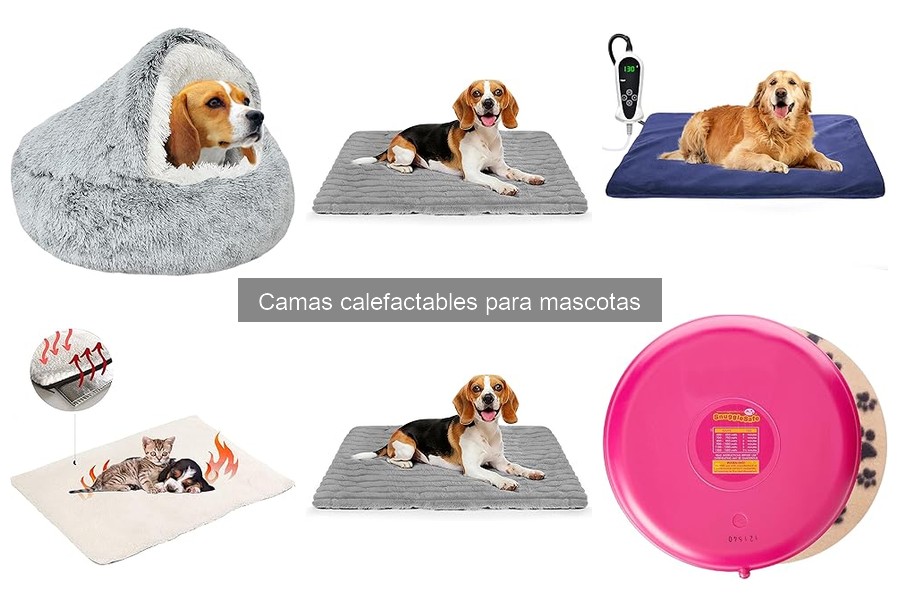 Tipos de camas calefactables para mascotas: guía completa