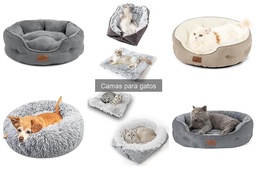 Tipos de camas para gatos: guía completa para elegir la mejor