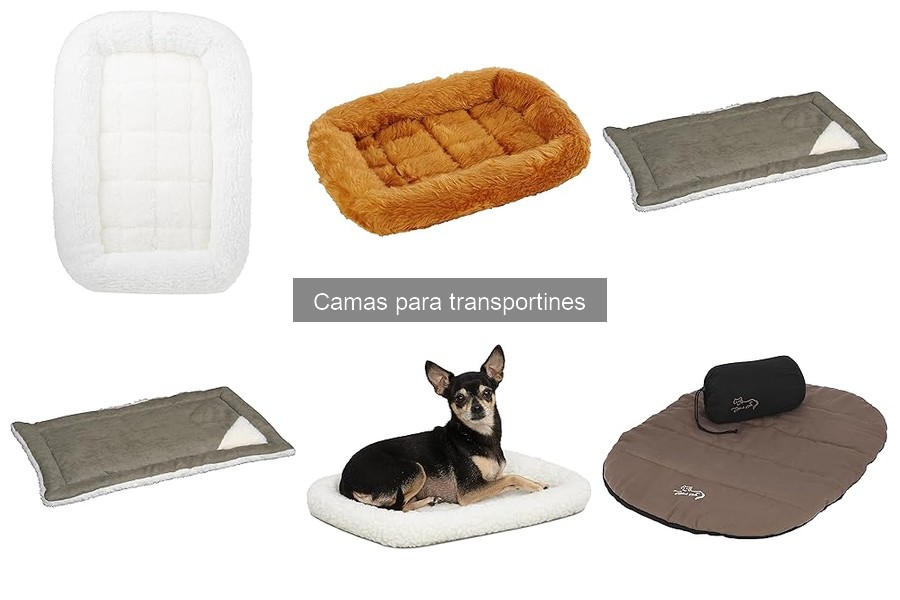 Tipos de camas para transportines: guía completa