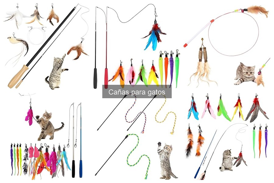 Tipos de cañas para gatos: Guía de materiales y diseños